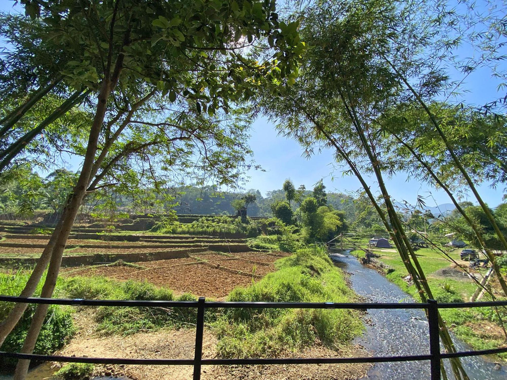 סיווידיי Shine River מראה חיצוני תמונה